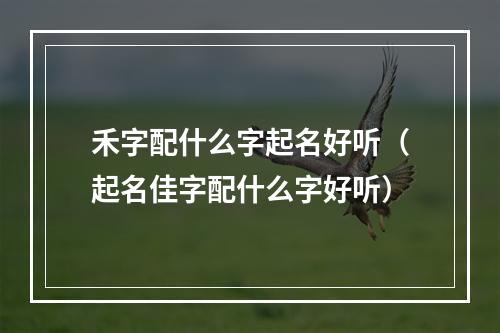 禾字配什么字起名好听（起名佳字配什么字好听）