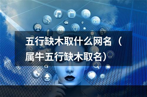五行缺木取什么网名（属牛五行缺木取名）