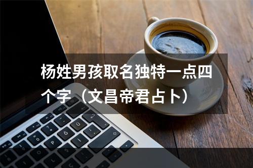 杨姓男孩取名独特一点四个字（文昌帝君占卜）