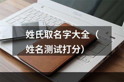 姓氏取名字大全（姓名测试打分）