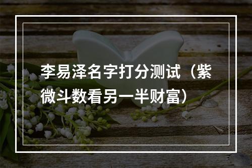 李易泽名字打分测试（紫微斗数看另一半财富）