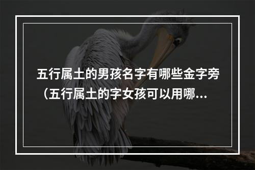 五行属土的男孩名字有哪些金字旁（五行属土的字女孩可以用哪些）