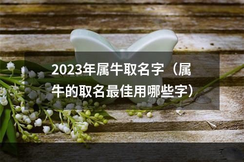 2023年属牛取名字（属牛的取名最佳用哪些字）