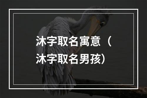 沐字取名寓意（沐字取名男孩）