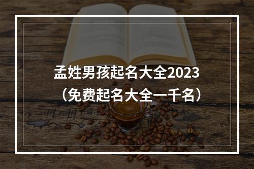 孟姓男孩起名大全2023（免费起名大全一千名）