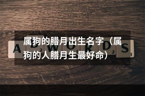属狗的腊月出生名字（属狗的人腊月生最好命）
