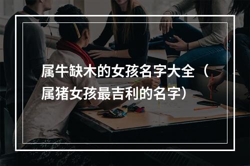 属牛缺木的女孩名字大全（属猪女孩最吉利的名字）
