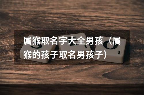 属猴取名字大全男孩（属猴的孩子取名男孩子）