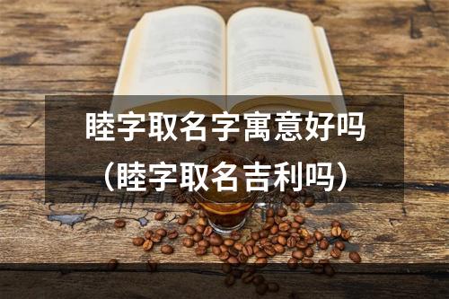 睦字取名字寓意好吗（睦字取名吉利吗）