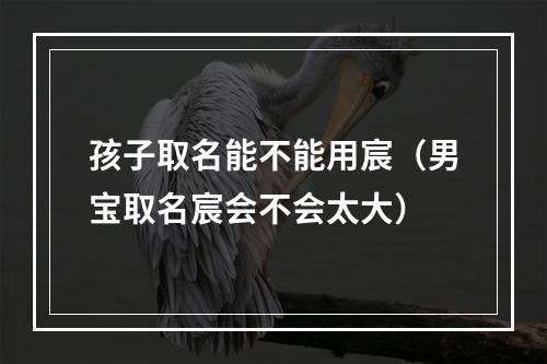 孩子取名能不能用宸（男宝取名宸会不会太大）