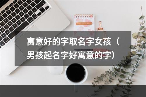 寓意好的字取名字女孩（男孩起名字好寓意的字）
