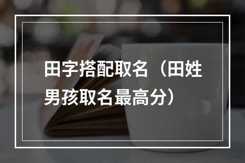 田字搭配取名（田姓男孩取名最高分）