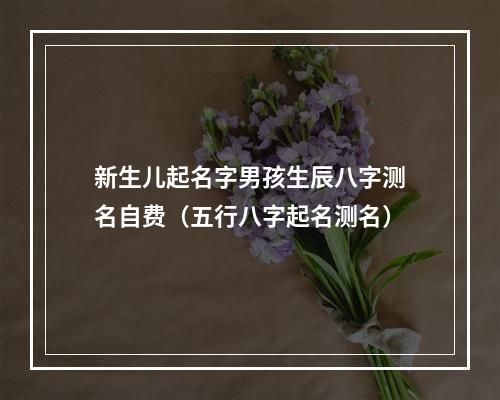 新生儿起名字男孩生辰八字测名自费（五行八字起名测名）