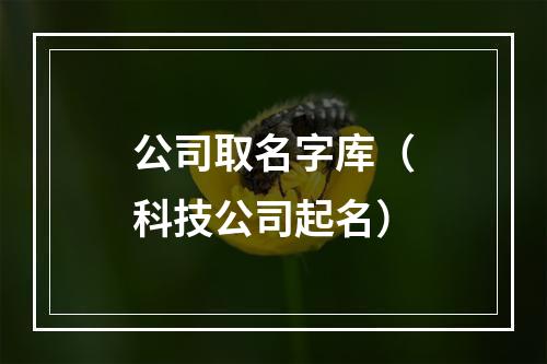 公司取名字库（科技公司起名）