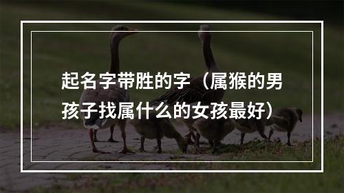 起名字带胜的字（属猴的男孩子找属什么的女孩最好）