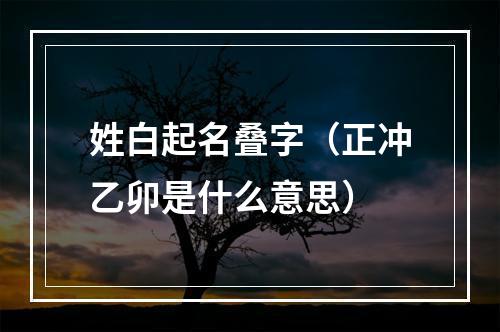 姓白起名叠字（正冲乙卯是什么意思）