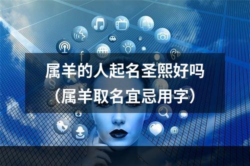 属羊的人起名圣熙好吗（属羊取名宜忌用字）