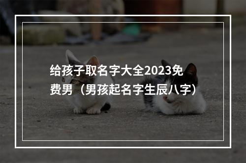 给孩子取名字大全2023免费男（男孩起名字生辰八字）