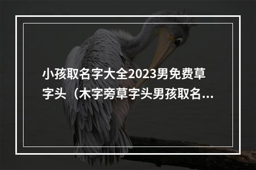 小孩取名字大全2023男免费草字头（木字旁草字头男孩取名）