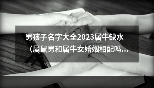 男孩子名字大全2023属牛缺水（属鼠男和属牛女婚姻相配吗）