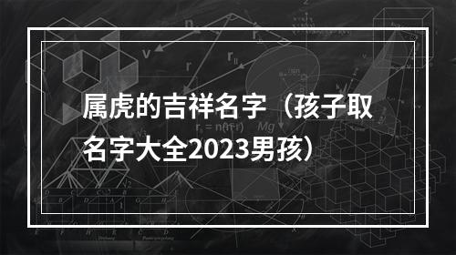 属虎的吉祥名字（孩子取名字大全2023男孩）