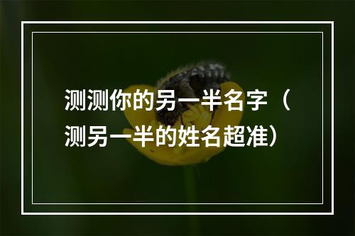 测测你的另一半名字（测另一半的姓名超准）