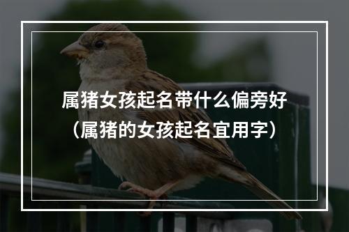 属猪女孩起名带什么偏旁好（属猪的女孩起名宜用字）