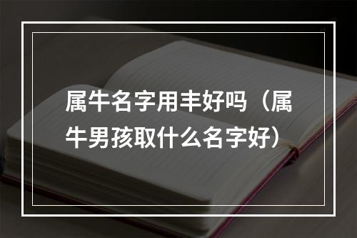 属牛名字用丰好吗（属牛男孩取什么名字好）