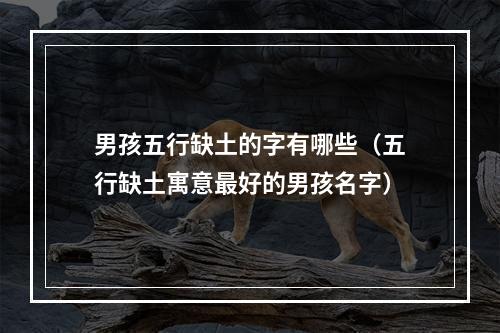 男孩五行缺土的字有哪些（五行缺土寓意最好的男孩名字）