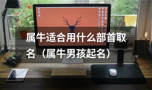属牛适合用什么部首取名（属牛男孩起名）