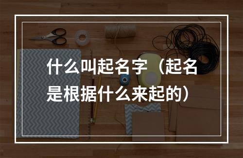 什么叫起名字（起名是根据什么来起的）