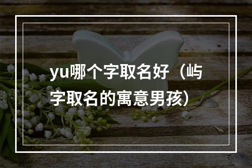 yu哪个字取名好（屿字取名的寓意男孩）