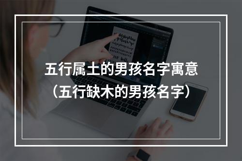 五行属土的男孩名字寓意（五行缺木的男孩名字）