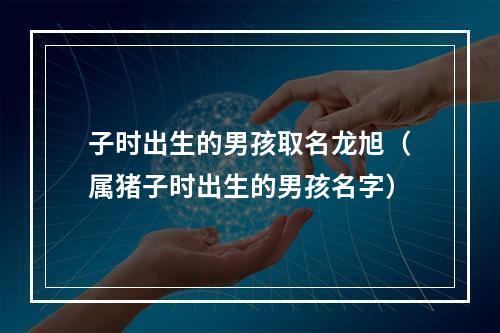 子时出生的男孩取名龙旭（属猪子时出生的男孩名字）