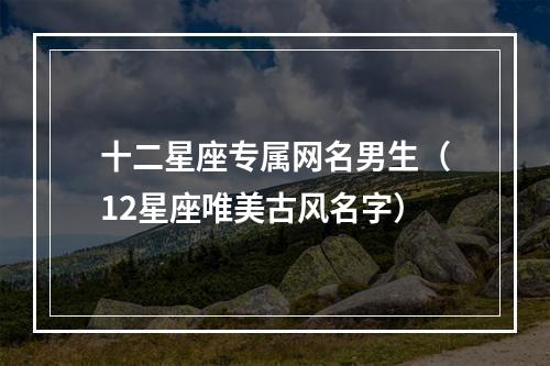 十二星座专属网名男生（12星座唯美古风名字）