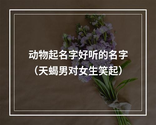 动物起名字好听的名字（天蝎男对女生笑起）