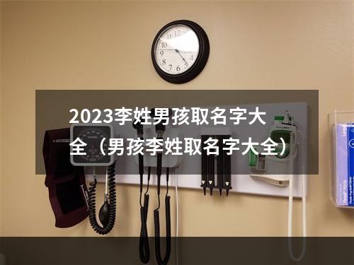 2023李姓男孩取名字大全（男孩李姓取名字大全）