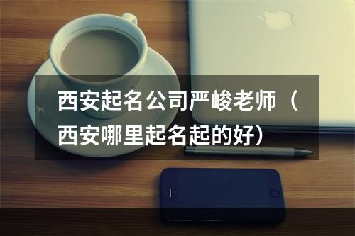 西安起名公司严峻老师（西安哪里起名起的好）