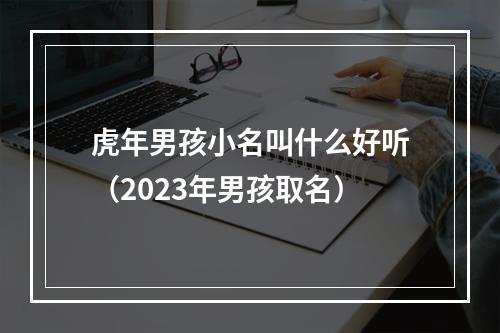 虎年男孩小名叫什么好听（2023年男孩取名）