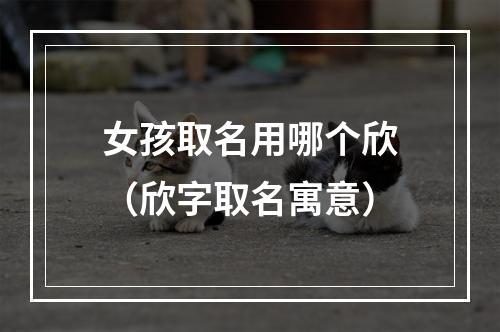 女孩取名用哪个欣（欣字取名寓意）