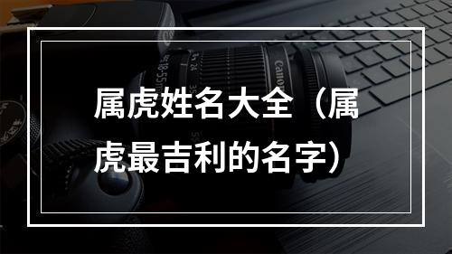 属虎姓名大全（属虎最吉利的名字）