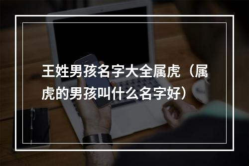 王姓男孩名字大全属虎（属虎的男孩叫什么名字好）