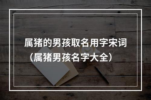 属猪的男孩取名用字宋词（属猪男孩名字大全）