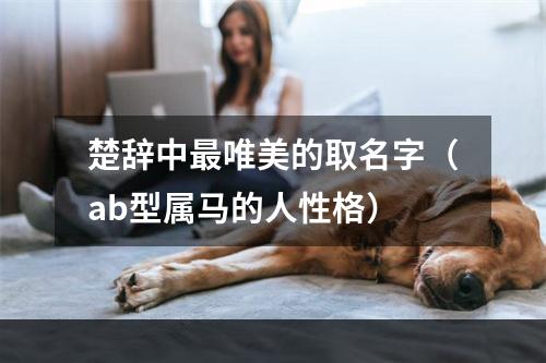 楚辞中最唯美的取名字（ab型属马的人性格）