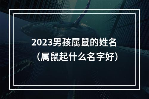 2023男孩属鼠的姓名（属鼠起什么名字好）