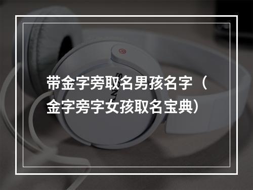带金字旁取名男孩名字（金字旁字女孩取名宝典）