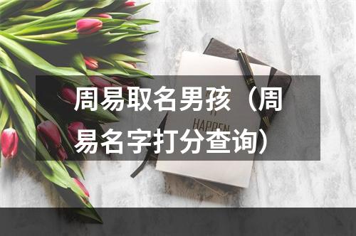 周易取名男孩（周易名字打分查询）
