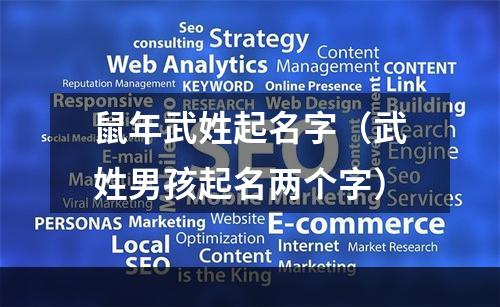 鼠年武姓起名字（武姓男孩起名两个字）