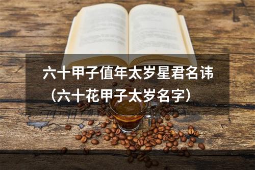 六十甲子值年太岁星君名讳（六十花甲子太岁名字）