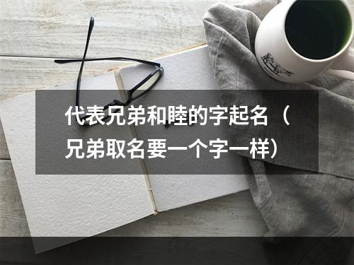 代表兄弟和睦的字起名（兄弟取名要一个字一样）